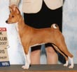 Candy in show photo.