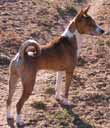 Elation poses himself for a photo.