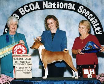 Buddy winning at the National in 2003.