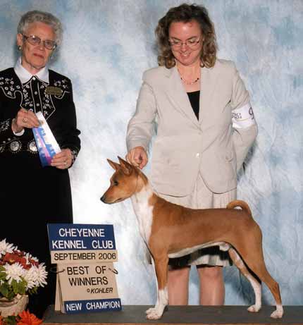 Kona winning at the dog show.