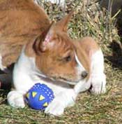 Clara with a blue ball.