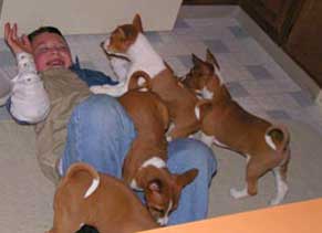 Mason playing with the puppies.